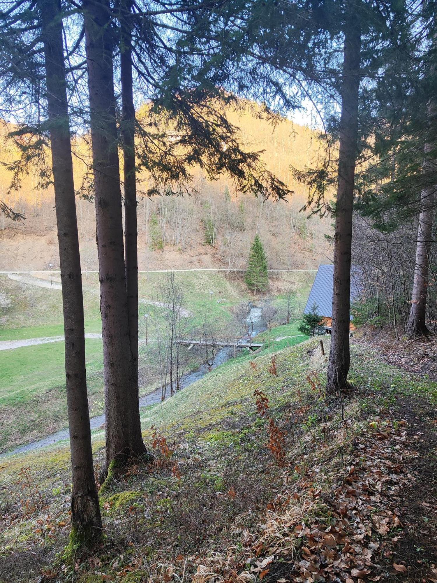Zlatarska Dolina Bed and Breakfast Nova Varoš Exteriör bild